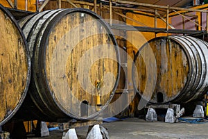 Making Asturian cider made fromÂ fermented apples in barrels for several months should be poured from great